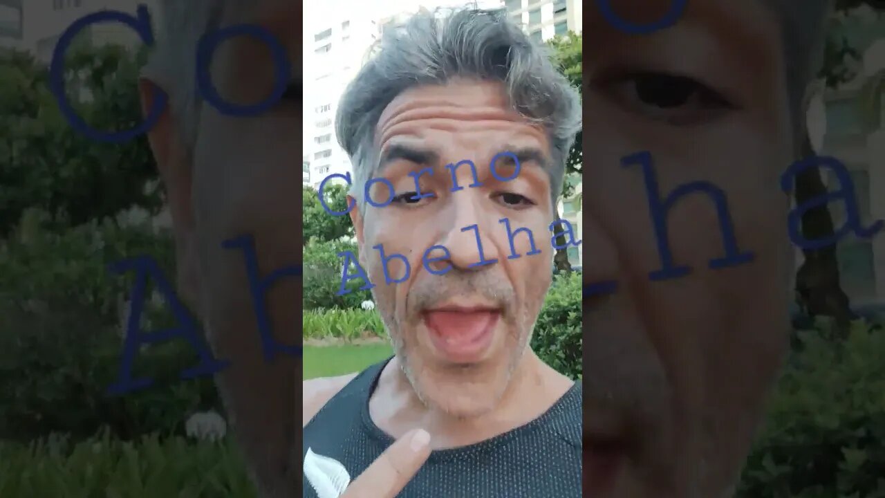 o que é o corno Abelha