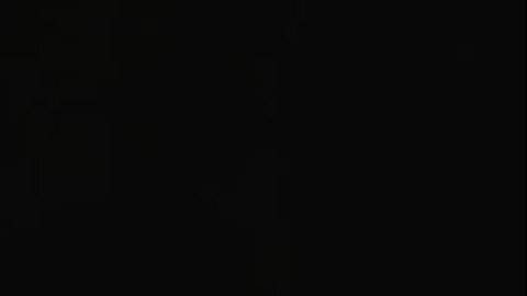 in tha face of terror