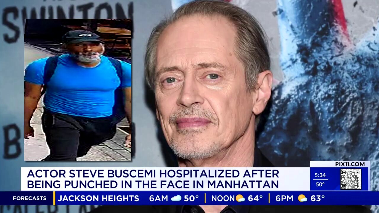 Actor Steve Buscemi sucker punched in the face in New York City by black suspect