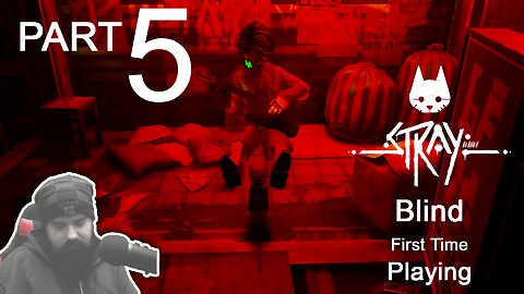 FINALLY Getting Somewhere | Blind First Time Playing STRAY | Part 5