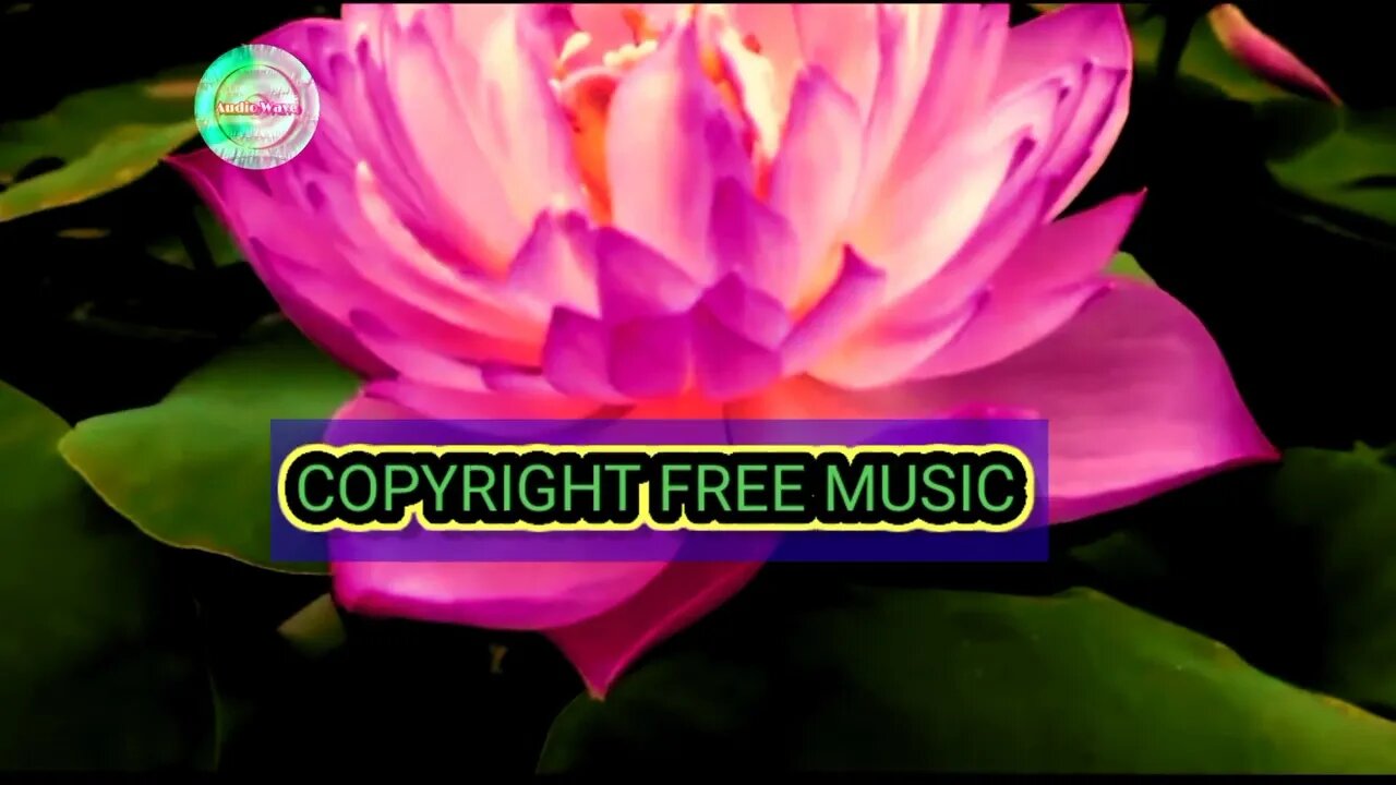 Royalty free background Music for content creators