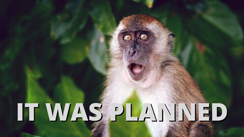 GLOBAL HEALTH AGENCIES PLANNED MONKEY POX VIRUS TO HIT in MAY 2022