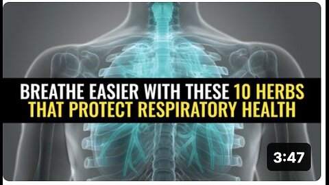 Breathe easier with these 10 herbs that protect respiratory health