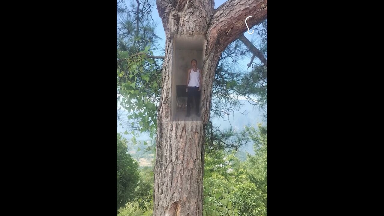 The Man That Lives In a Tree! 🌲
