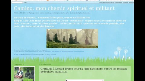 Qui je suis (à partir de mon blog)