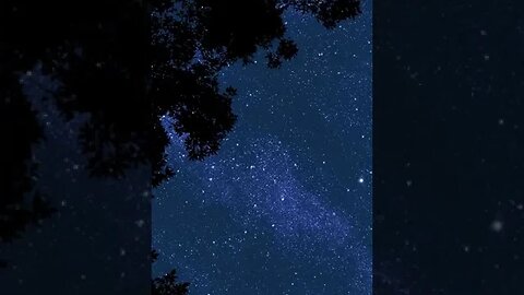 Stary Night tiktok freebieclip