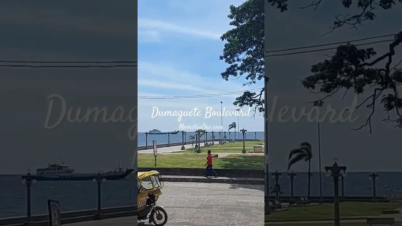 #trendingshorts #dumaguete #philippines #oceanview #boulevard #dumaguetecity #dumaguetephilippines
