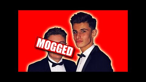 To Mog or To Be Mogged