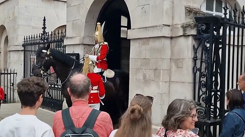 So happy she got her picture of the kings guard #horseguardsparade