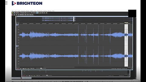 Reese Report - Ilmeisesti Trumpin salamurhayrityksessä olikin ainakin kaksi ampujaa