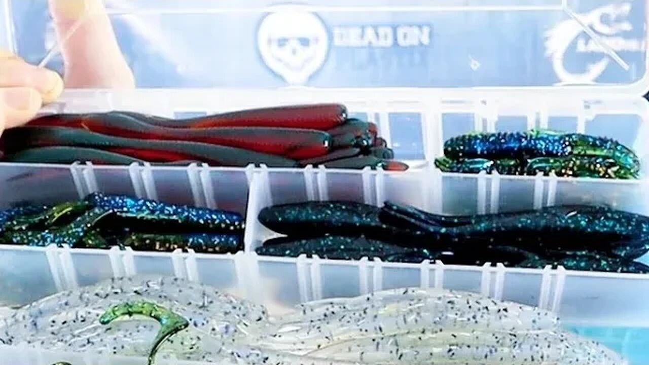 Bait Box Giveaway Winner Livestream