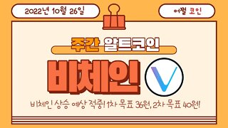 비체인 전망 투자전략 차트분석 VET trading point VeChain chart analysis | 비트코인 실시간 생방송 쩔코TV 10월26일