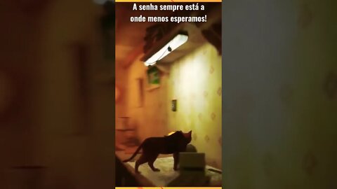 STRAY SENHA DA PORTA ESTÁ NOS RELÓGIOS