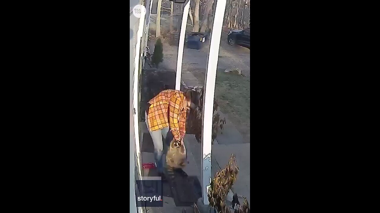 Real Hero Mom Save Her Daughter Form Raccoon 🦝