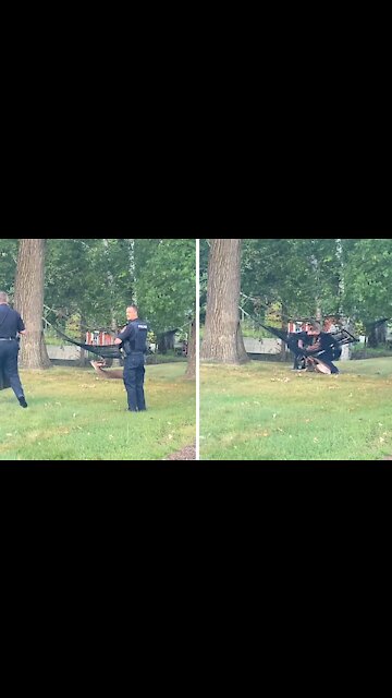 Police rescue buck stuck in hammock