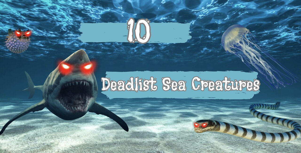 Top 10 Deadliest Sea Creatures(you better watch out!)