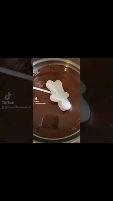 Peppermint Hot Chocolate with Marshmallows