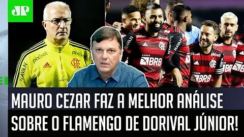 "Às vezes, PARECE ATÉ que o Flamengo quer..." Mauro Cezar faz ÓTIMA ANÁLISE sobre Mengão de Dorival!