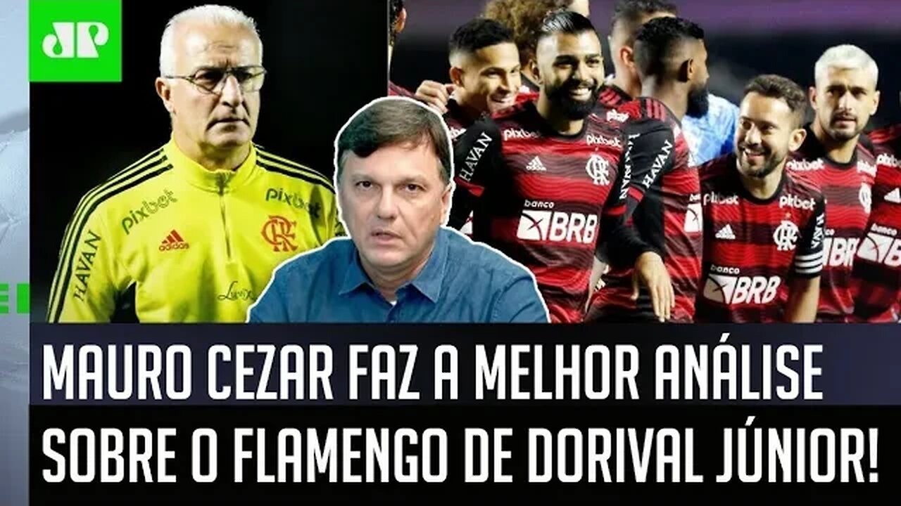 "Às vezes, PARECE ATÉ que o Flamengo quer..." Mauro Cezar faz ÓTIMA ANÁLISE sobre Mengão de Dorival!