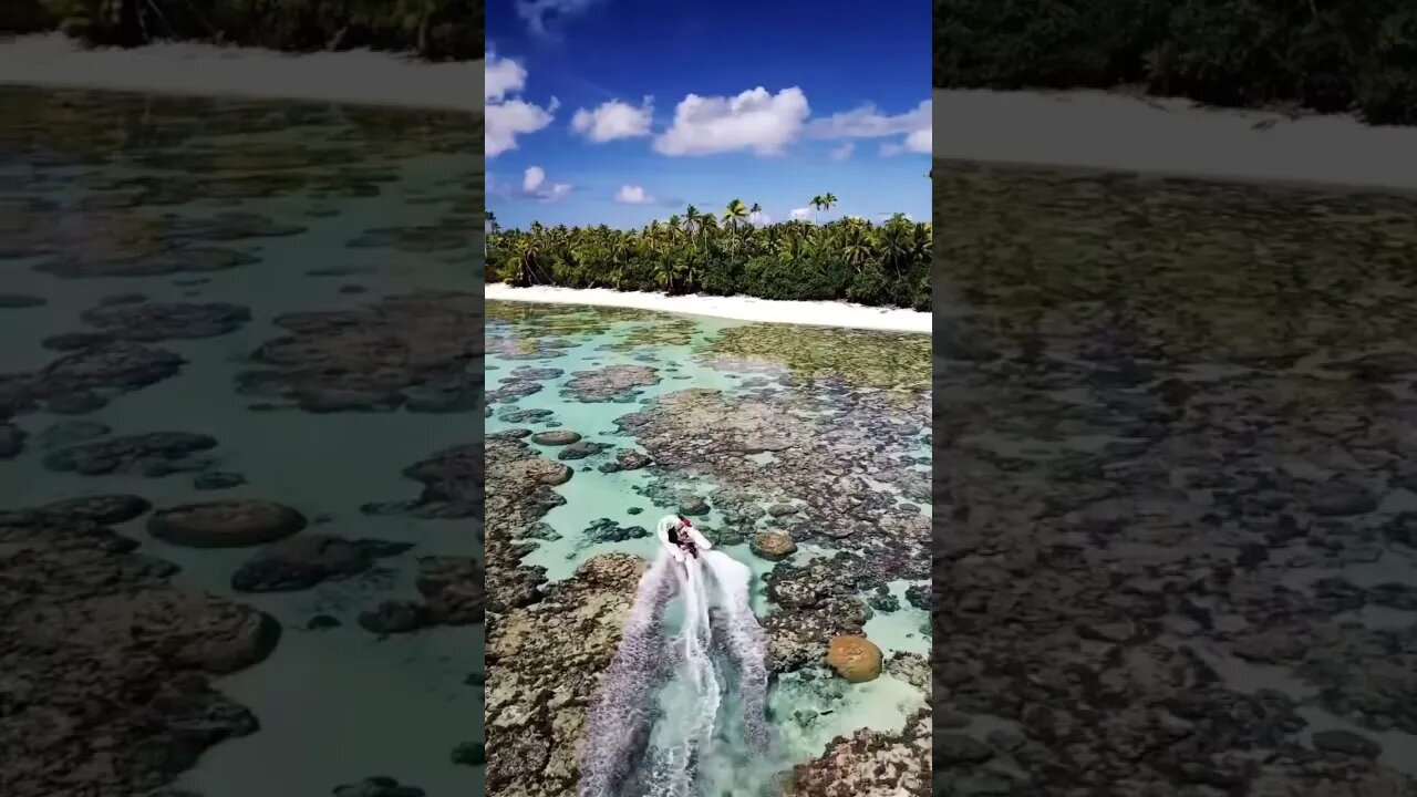 This is beautiful #youtubeshorts #shorts