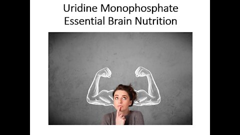 Uridine Monophosphate - Essential Brain Nutrition