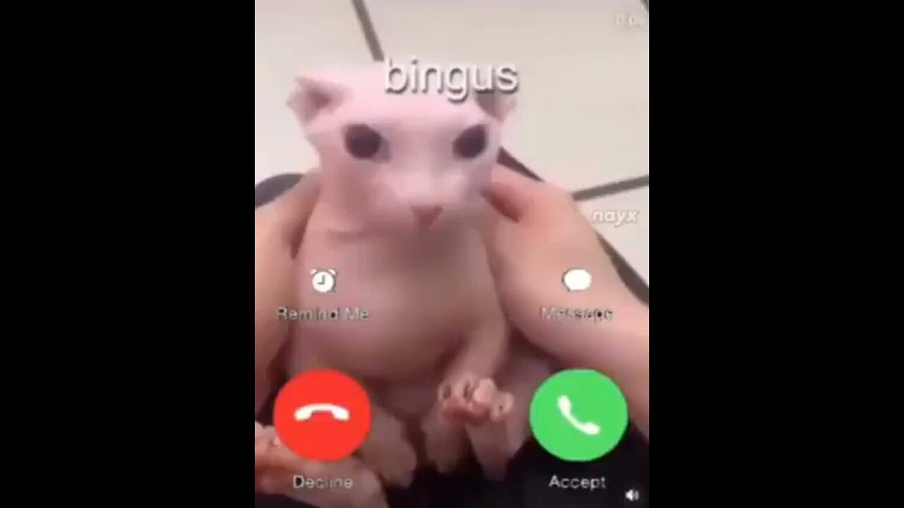bingha