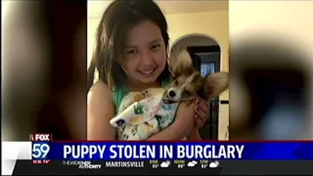 August 13, 2015 - Young Indianapolis Girl's Puppy Stolen During Home Burglary