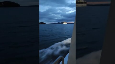 Cruise ship Pacific Explorer coming into Auckland at dawn.(4)