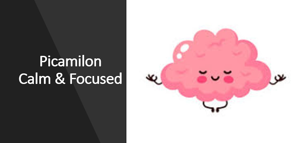 Picamillon For Stress, Anxiety, PTSD & A Calm Focused Mood