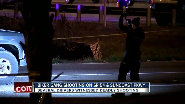 Sheriff: Biker gang behind homicide near Suncoast Parkway and SR 54 in Pasco County