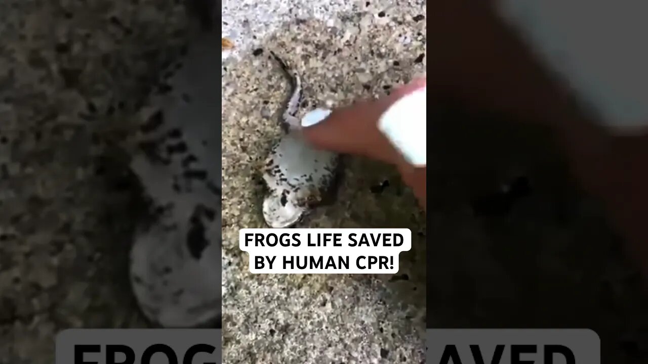 FROGS LIFE SAVED BY HUMAN CPR!