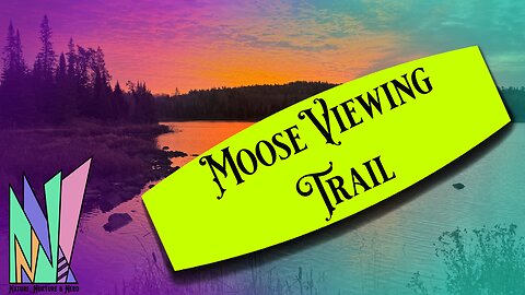 Moose Viewing Trail in Northern Minnesota