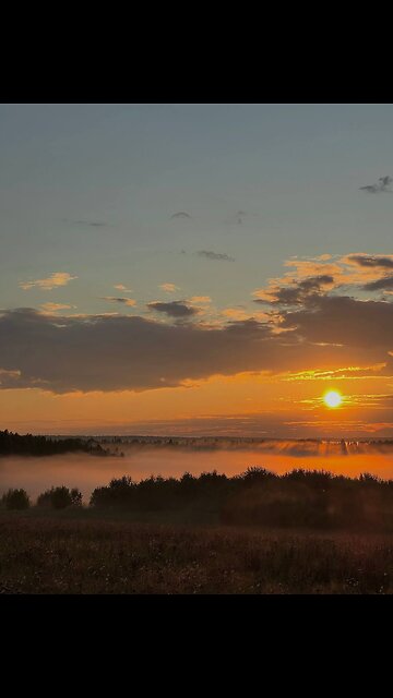 💛 Colors of the passing summer