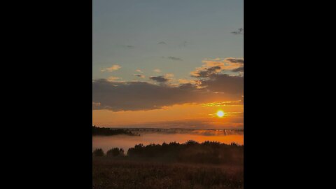 💛 Colors of the passing summer