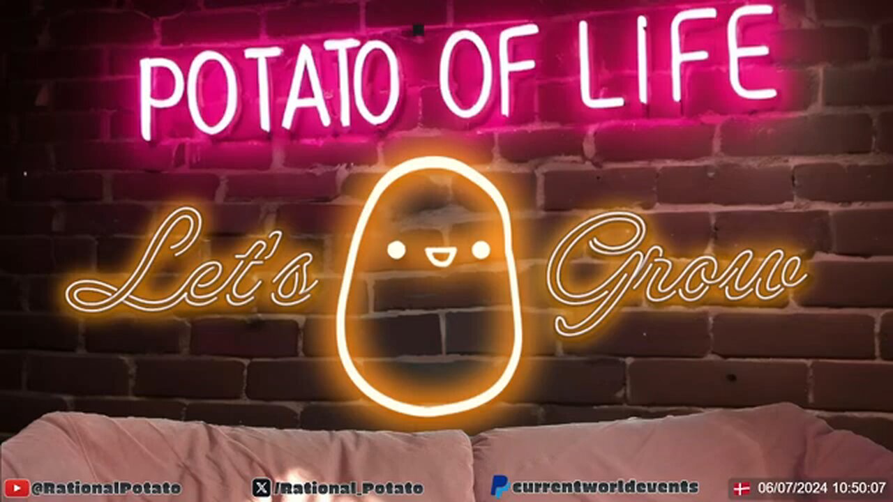 pedtato #1
