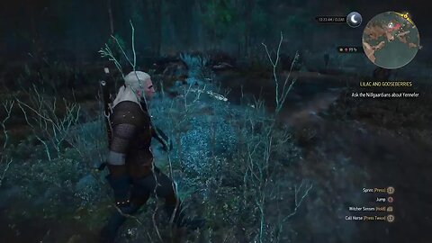 Witcher 3 replay