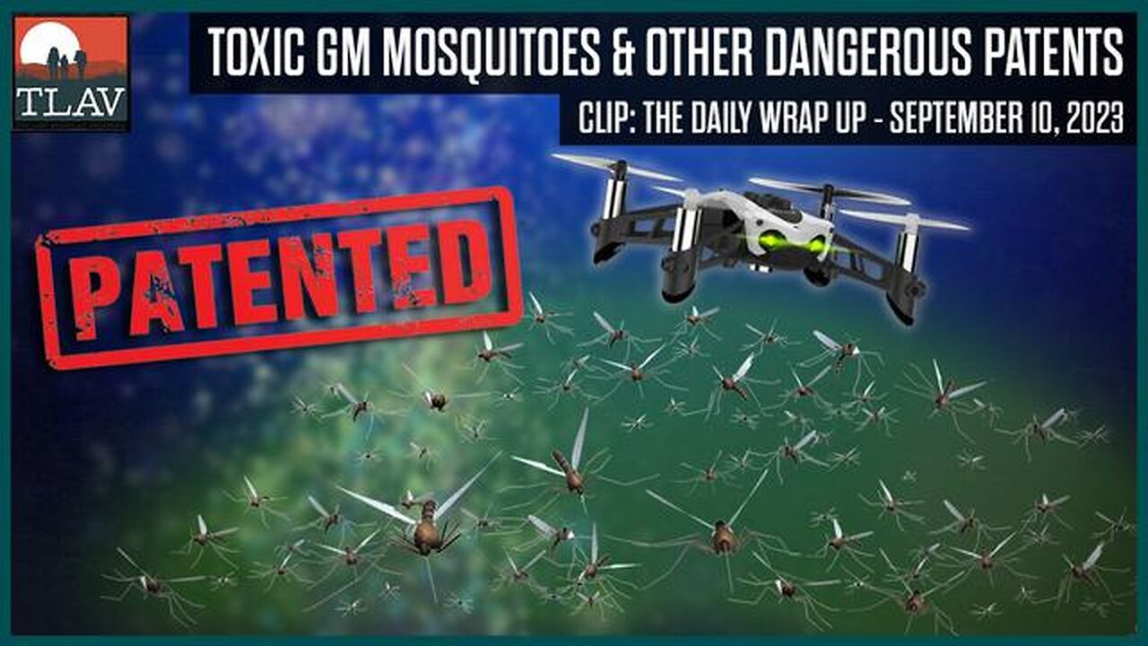 TOXIC GM MOSQUITOES AND OTHER DANGEROUS PATENTS