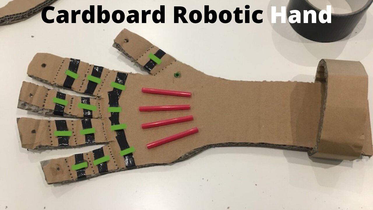 Learning | Cardboard Hand