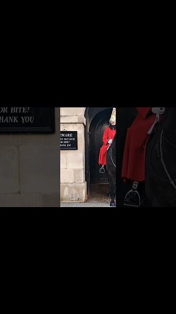 Tourist bitten on the shoulder with force #horseguardsparade
