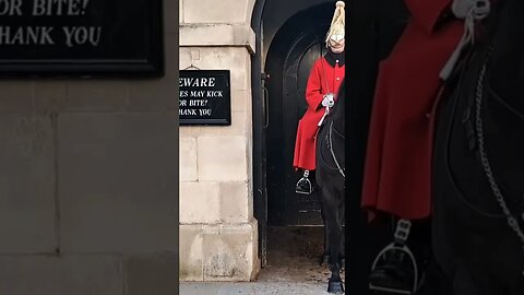 Tourist bitten on the shoulder with force #horseguardsparade