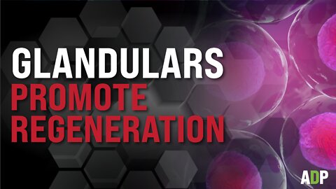 Glandulars Promote Regeneration