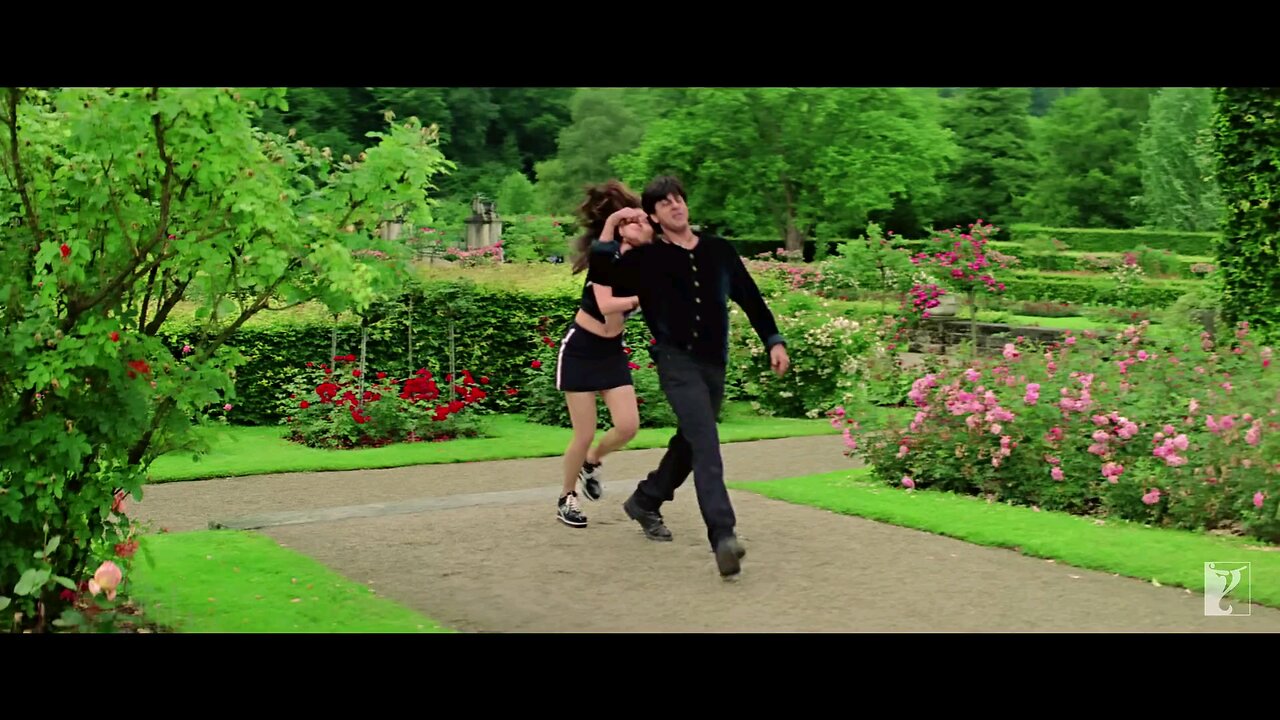 Dil to pagal hai song