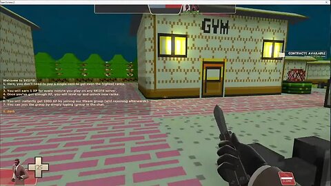 Team Fortress 2