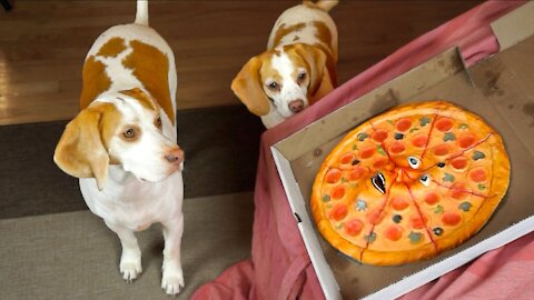 Dogs vs Talking Pizza Prank- Funny Dogs