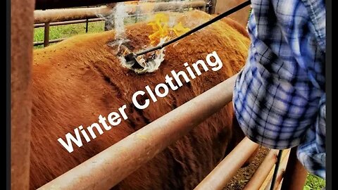 Cold Weather Clothing (In the Chute - Round 158)