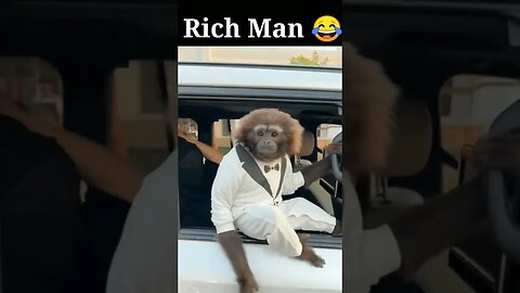 Rich Monkey 🤣🤣🤣🤣