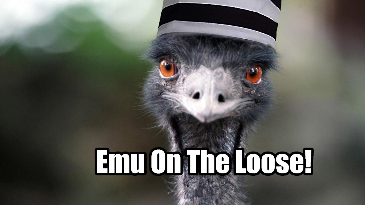 Missouri Emu😲 Gives Animal Control a Slip
