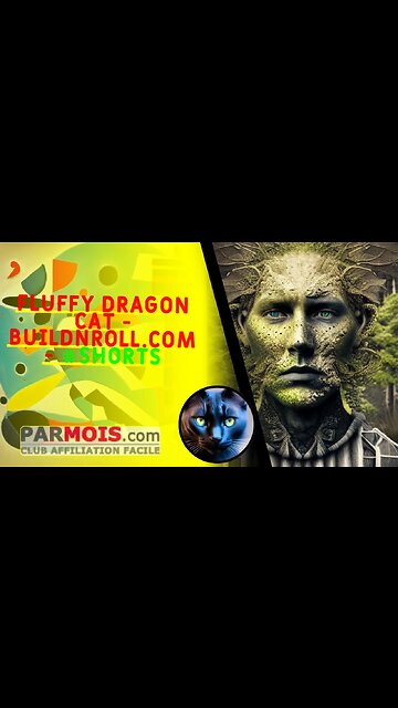 Fluffy Dragon Cat - BuildNRoll.com - #shorts
