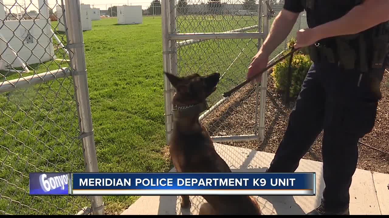 Meridian K9 PKG