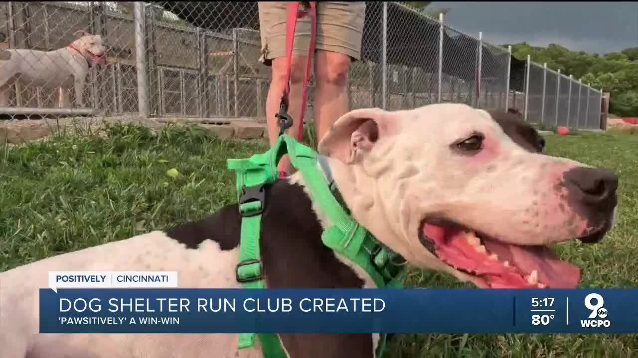 Running club brings dogs from Cincinnati-area shelter on weekly runs